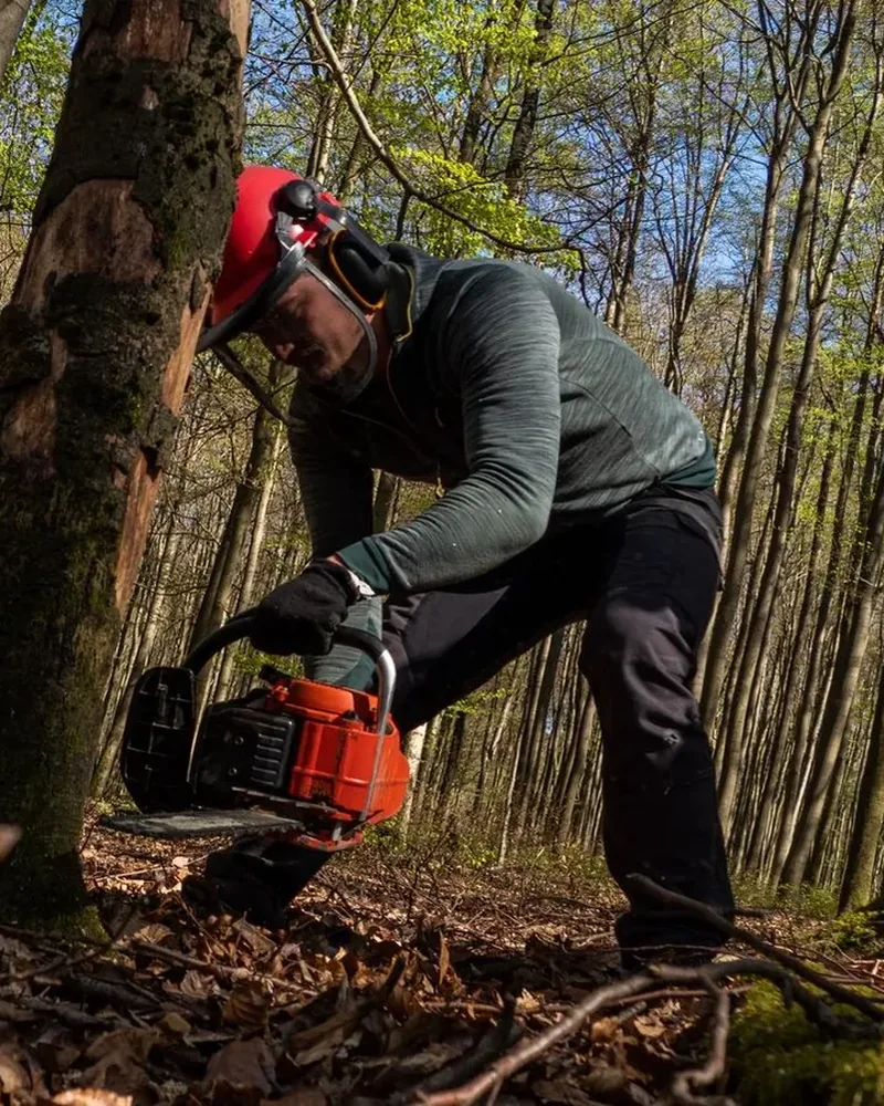 Élagueur casqué en train de couper une branche à la tronçonneuse