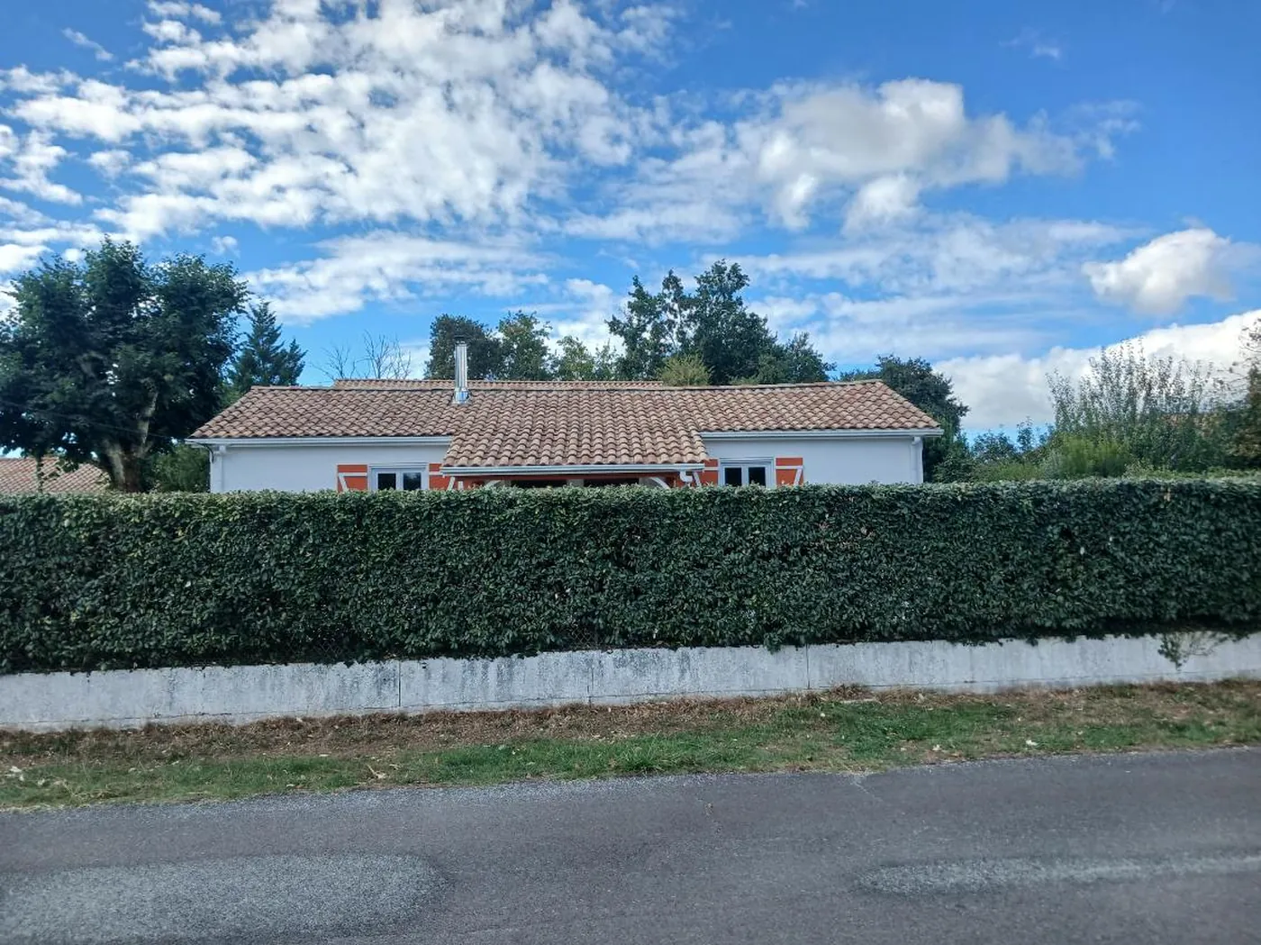 La haie vue depuis la route, taillée à plat sur toute sa longueur