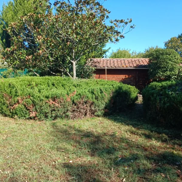 Le même fond de jardin dégagé, massifs rabattus et cabanon visible