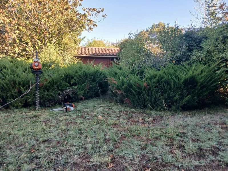 Le jardin en fin de chantier, haies reprises et sol dégagé