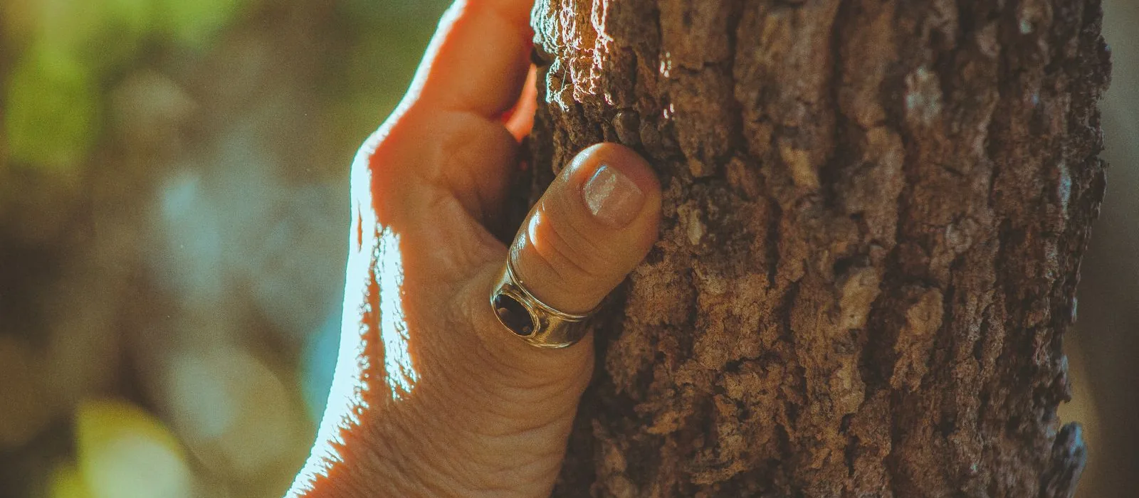Main posée sur l'écorce d'un tronc pendant l'examen de l'arbre