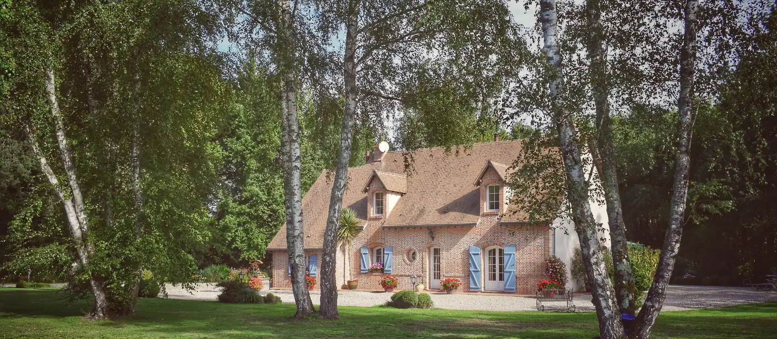 Bouleaux et pelouse devant une maison, photo d'illustration