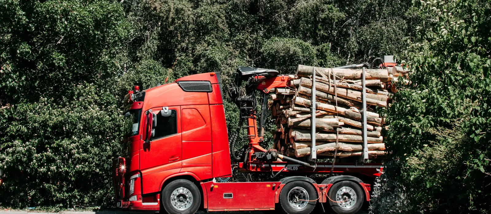 Camion chargé de bois en bord de route, photo d'illustration